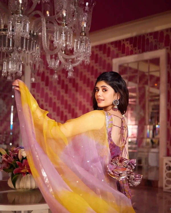 Readymade Anarkali Suit for Women